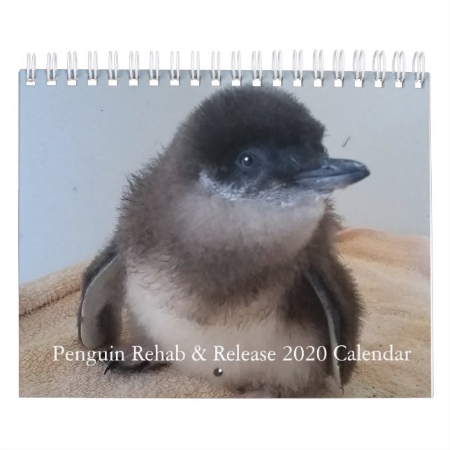 2020 Little Penguin Calendar (Cover)