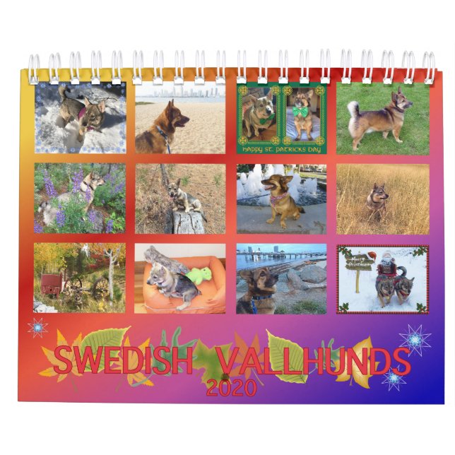 2020 Swedish Vallhund Calendar (Back)