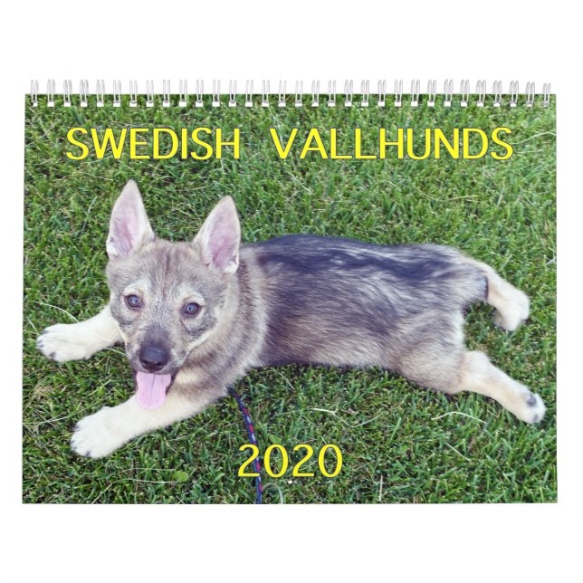 2020 SWEDISH  VALLHUND CALLENDAR CALENDAR (Cover)