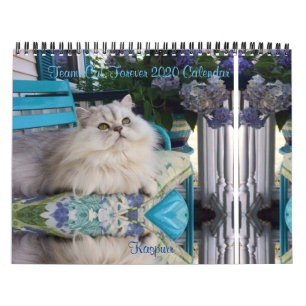 2020 Team iCat Forever Calendar