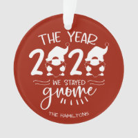 2020 The Year We Stayed Gnome Funny Covid Pun