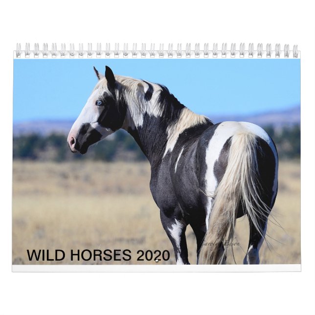 2020 wild mustang calander calendar (Cover)