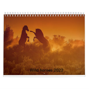 2020 wild mustang calander calendar