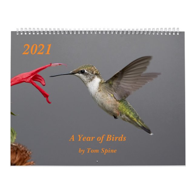 2021 ~ A Year of Birds Calendar (Cover)