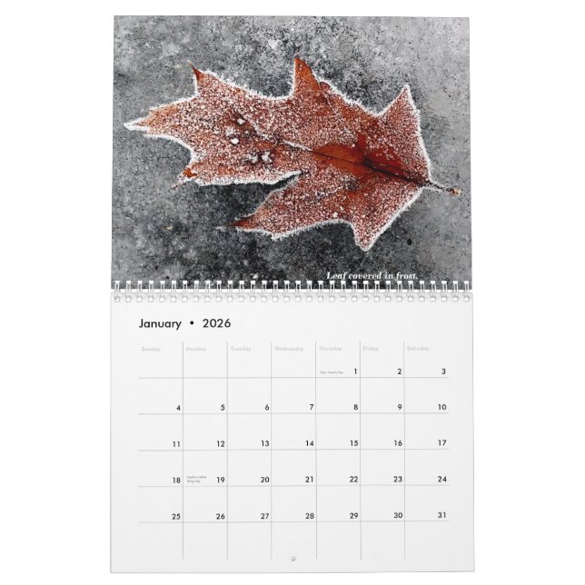 2021 Calendar (Jan 2026)