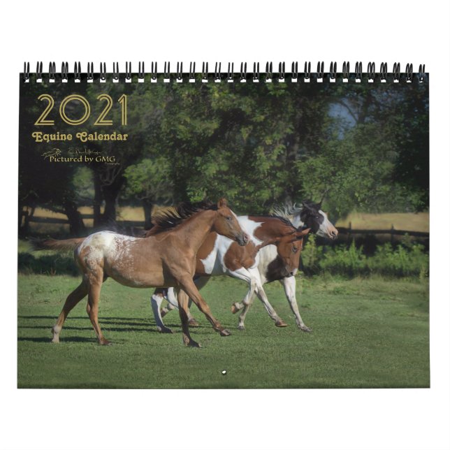 2021 Equine Photo Calendar (Cover)