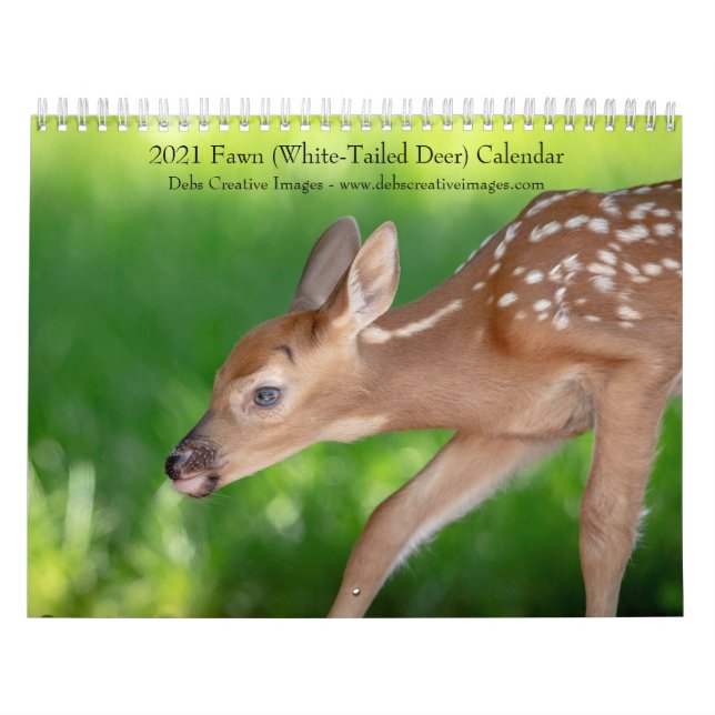 2021 Fawn (white-tailed deer) Calendar (Cover)