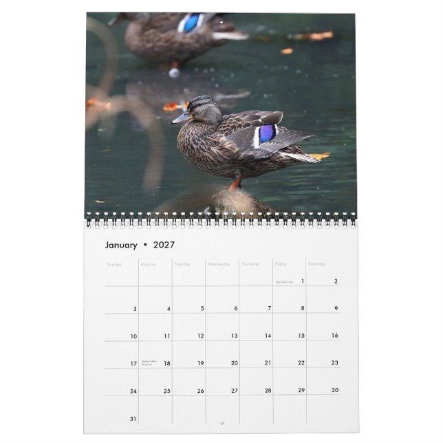 2021 Mallards Calendar (Jan 2027)