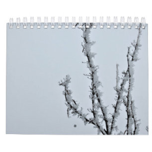 2021 photographic calendar