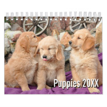 2021 Puppy Dog Pet Photo