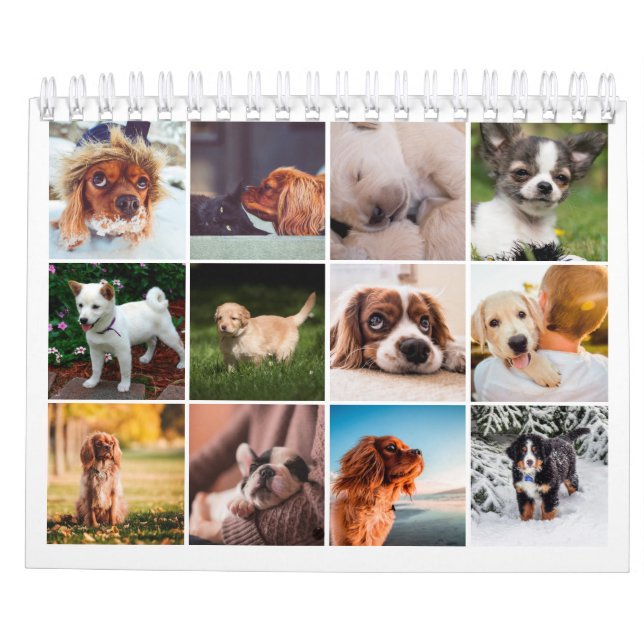 2021 Puppy Dog Pet Photo Calendar (Back)