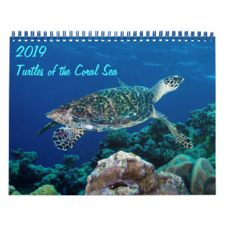 2021 Sea Turtles of the Coral Sea Calendar