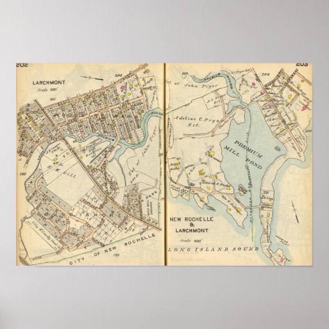 202203 Larchmont, New Rochelle Poster (Front)