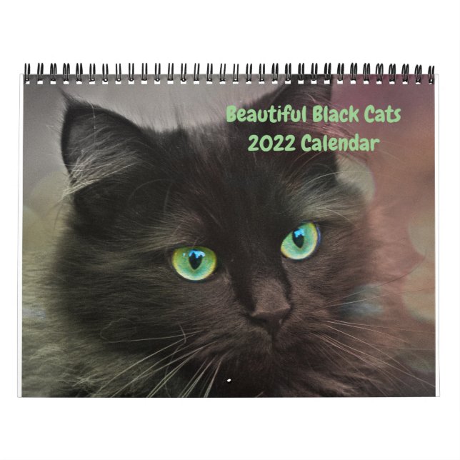 2022 Beautiful Black Cats 12-month Wall Calendar (Cover)