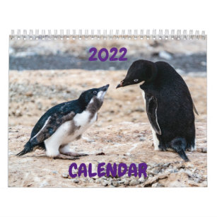 2022 Calendar - Antarctica
