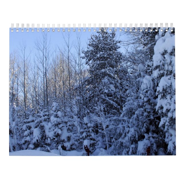 2022 Calendar Nature in Winter  (Back)