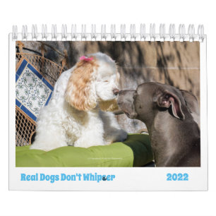 2022 Dog Calendar Brighten Your Days With Cuteness