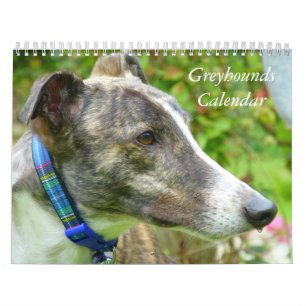 2022 Greyhounds calendar