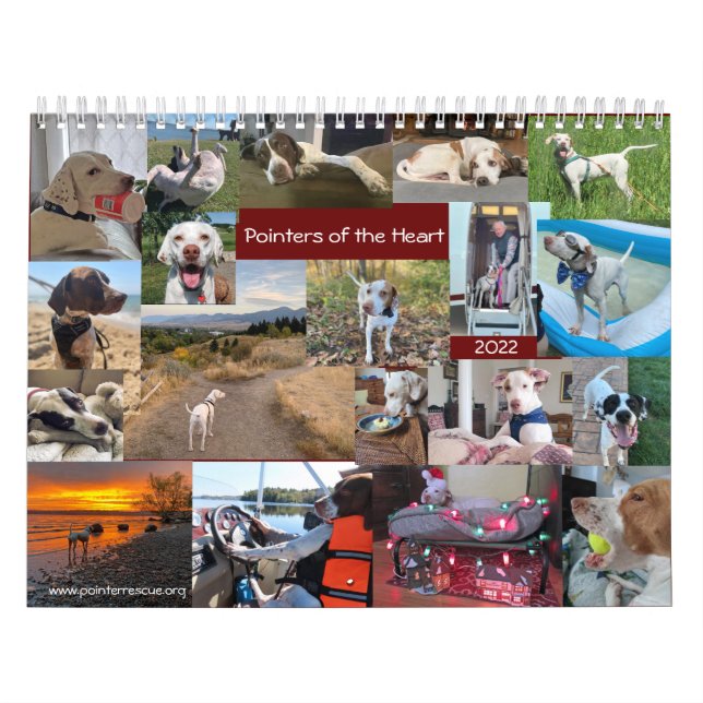 2022 Pointers of the Heart PointerRescue Org Calendar (Cover)