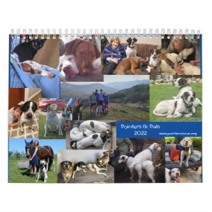 2022 Pointers & Pals PointerRescue Org Calendar