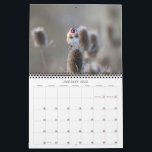 2022 UK Wildlife Calendar<br><div class="desc">UK 2022 Wildlife Calendar.
All Images taken in the UK this year at various locations in Scotland.</div>