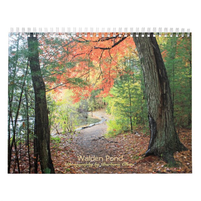 2022 Walden Pond-4 season: Calendar (Cover)