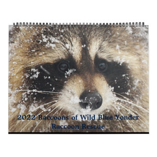 2022 Wild Blue Yonder Raccoon Rescue Calendar