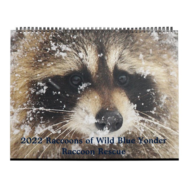 2022  Wild Blue Yonder Raccoon Rescue   Calendar (Cover)