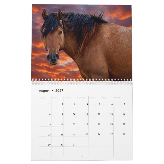 2022 Wild HOrse Calendar (Aug 2027)