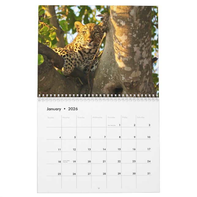 2022 Wildlife Wall Calendar (Jan 2026)