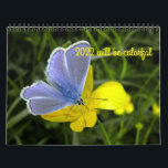 2022 will be colourful calendar<br><div class="desc">Delightful flowers to brighten every months in 2022.</div>