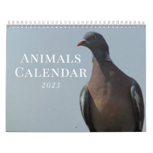 2023 Animal Nature Calendar