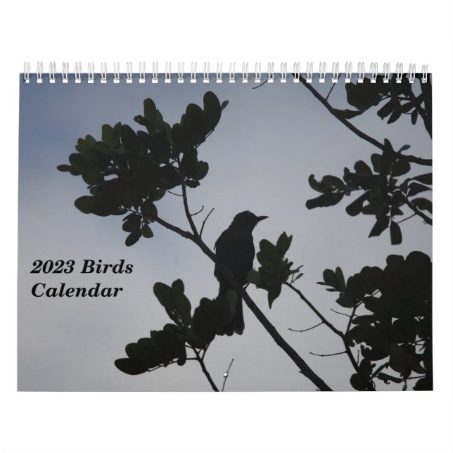 2023 Birds Calendar (Cover)
