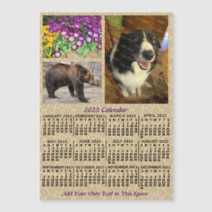 2023 Calendar (See Description for Newest Version)