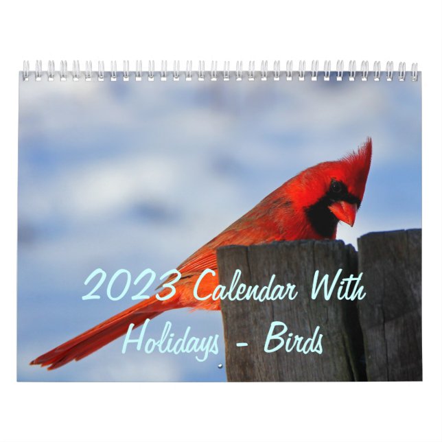 2023 Calendar With Holidays - Birds (Cover)