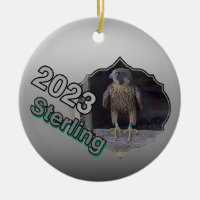 2023 Ceramic Circle Ornament Sterling