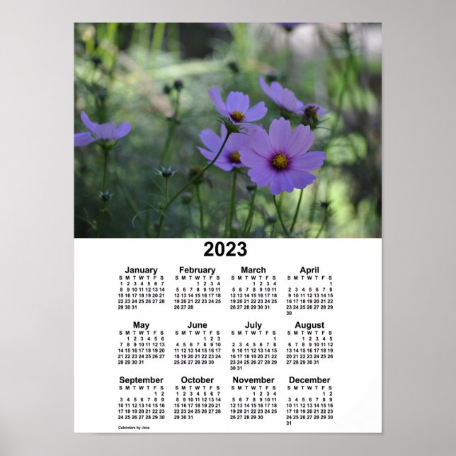 2023 Cosmos Calendar by Janz Poster (Front)