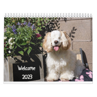 2023 Cute & Adorable Dog Calendar