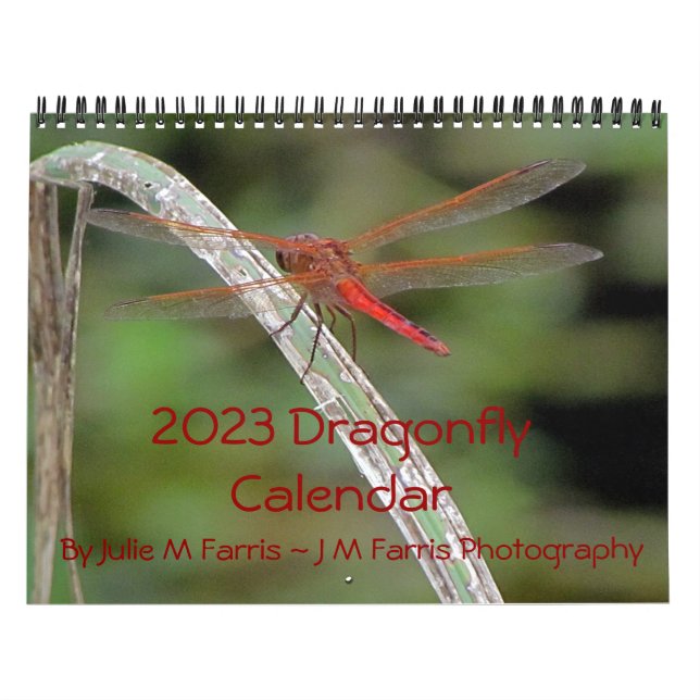 2023 Dragonfly Wall Calendar (Cover)