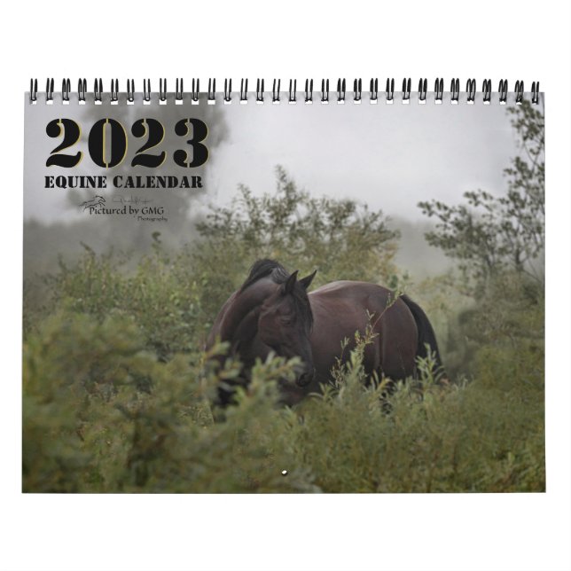 2023 Equine Photo Calendar II (Cover)