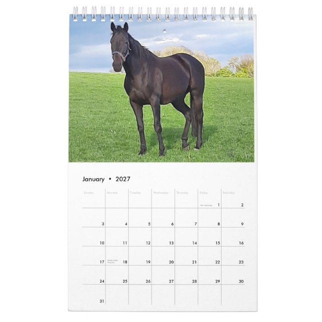 2023 Mares and Foals Calendar  (Jan 2027)