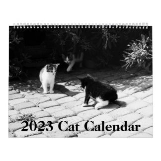 2023 Modern Cat Calendar