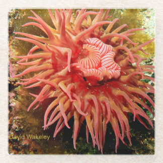 2023 Northwest Calendar April Glass Coaster