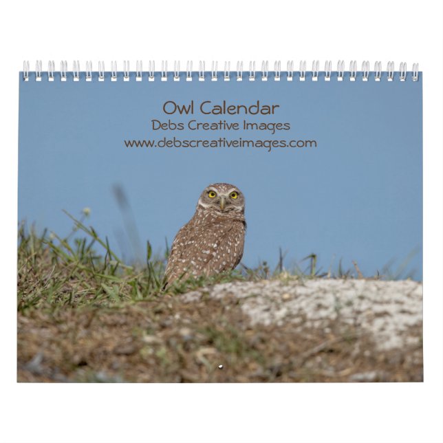 2023 Owl Calendar (Cover)
