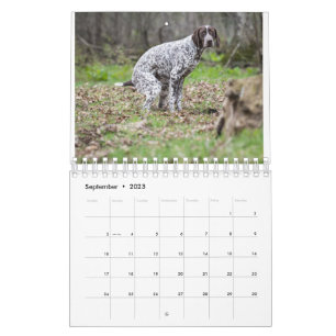 2023 Pooping Dogs Calendar