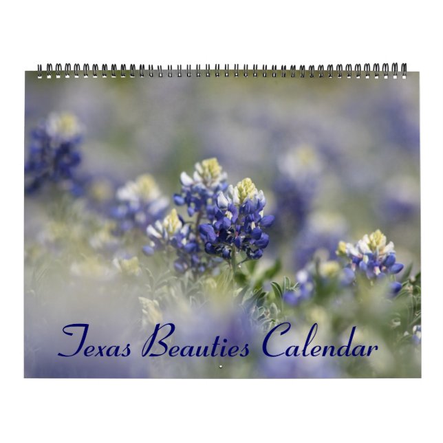 2023 Texas Bluebonnets Calendar (Cover)