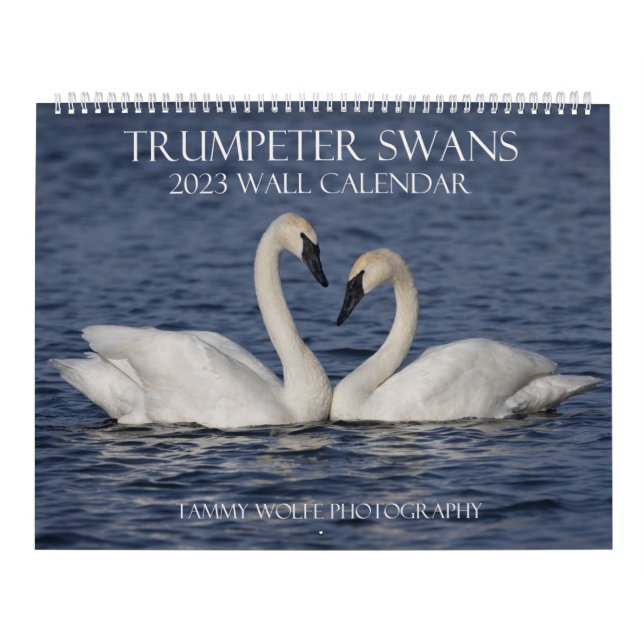 2023 Trumpeter Swan Wall Calendar (Cover)