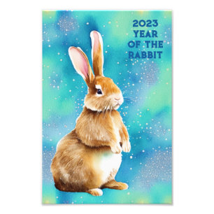 2023 Year of the Rabbit, Apple Green & Azure Blue Photo Print