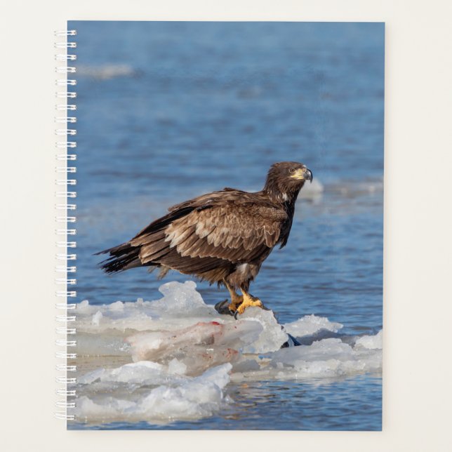 2024 Bald Eagle on Ice Planner (Front)