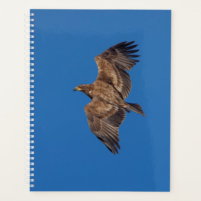 2024 Bald Eagle Planner (Front)